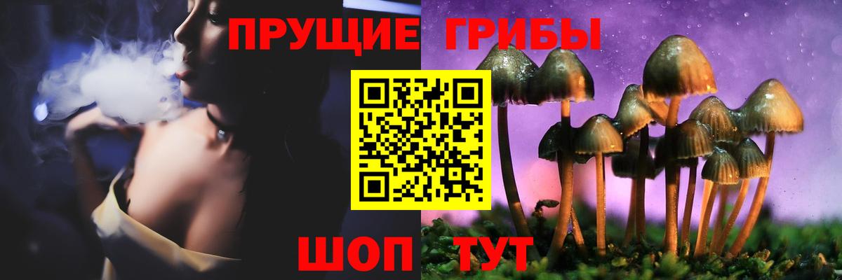 Псилоцибиновые грибы GOLDEN TEACHER Урюпинск